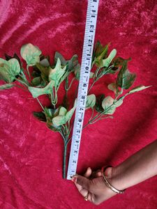Green Leaf Bunch