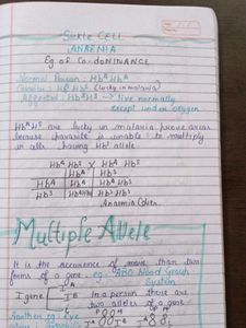 Ncert Biology Notes Class 12