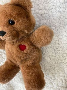 Cute Fluffy Teddy Bear 🧸