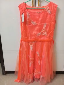 Elegant Knee length One Piece