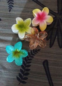 Flower Hair Clips - Set of 4, Single Pieces