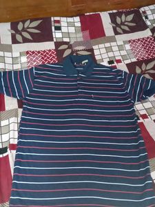 Striped Polo Shirt