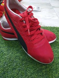Puma Ferrari New Shoes