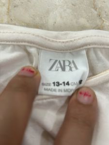 Zara Organza Sleeves Top