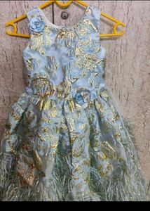 Girl&#39;s Feathered Party Dress