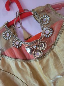 Orange Georgette Saree With 2  Worked Gold Blouse