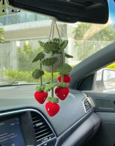 Crochet Car Hanging Plants And Flowers