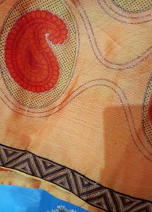 Beautiful Orange Sunset Shade Saree