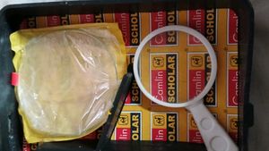 CAMLIN DISSECTION INSTRUMENTAL BOX