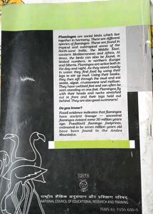 FLAMINGO NCERT