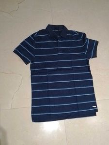Striped Polo T-Shirt