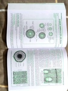 ISC XI BIOLOGY TEXTBOOK (SRIJAN)