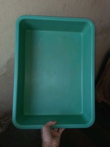 Cats OR Puppies Litter Combo With FREEBIES