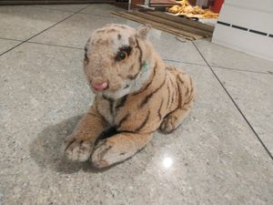 Combo - Tiger  + Tedy Bear + Doll