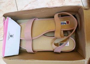 41 Size Footwear