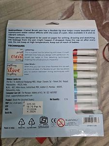 Camel Brush Pens - 12 Assorted Shades