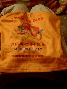 Vintage Hummingbird Tube Top