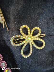 Designer Hair Clip Set