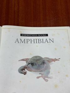 Eyewitness Books: Amphibian