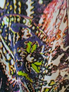 Multicolored Shirt