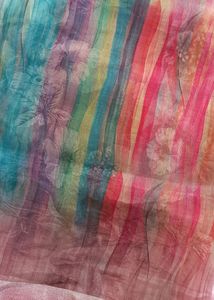 Orgenzaa Multicolour Saree
