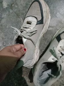 Sport Shoes