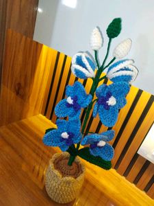 Crochet Potted Blue Orchid Flower ✨💙