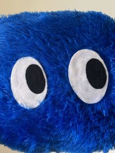 Furry Soft Cushion
