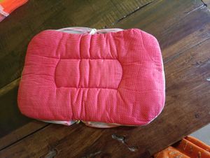Baby Nest with Mosquito Net