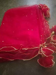 Red Net Duppata