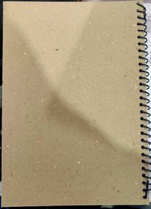 (Set Of 5)A4 Size Spiral Register