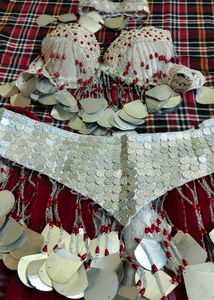 New Belly Dance Dress