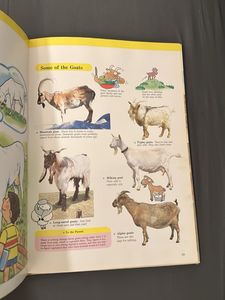 Child&#39;s First Learning Library