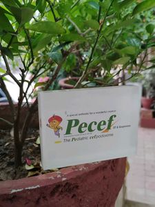 Paper Weight For Study Table