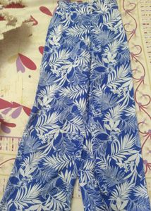 Elegant Blue Co ord Set