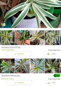 10 New Plants