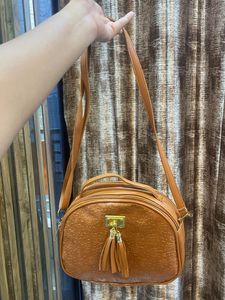 Brown Handbag