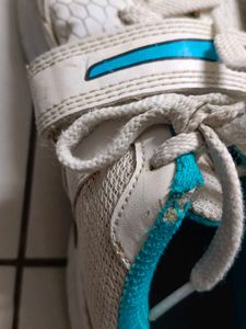Sega Cricket Stud Shoe For player