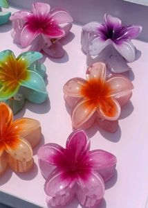 Claw Clips