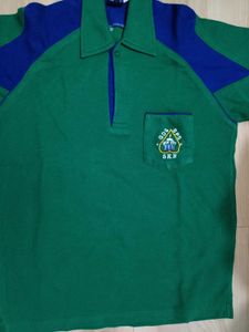 Green &amp; Blue Polo Shirt