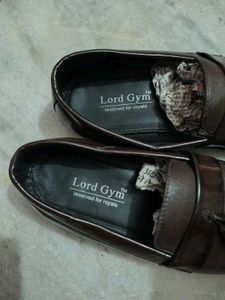 Men Tassel Style Moccasins Shoes/Loafers