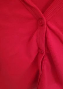 Red Crop Top
