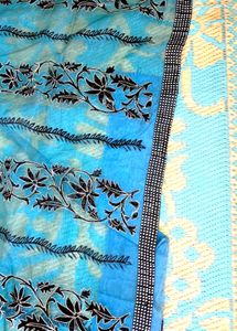 Organza  Saree. With Velevet Work.