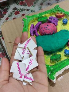 3-D Model Of Plant Cell
