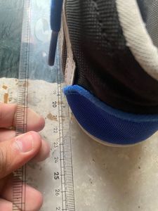 Shoes Blue Stylish