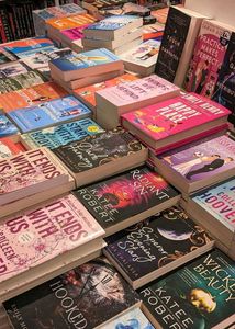 Fictional Novel