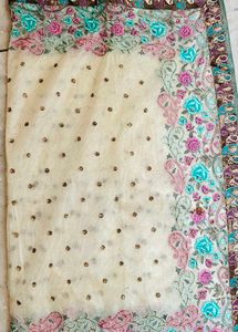 Elegant cream net saree
