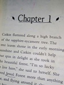 Fashion Fairy Princess Catkin