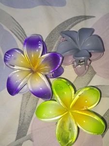 Flower Hair Clips (Set of 3)