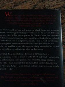 Breaking Dawn (Twilight Series)